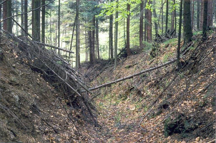 Weg nach Bhmen